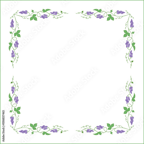 Vegetal frame with grapevine, bunches with blue grape, decorative corners for greeting cards, banners, business cards, invitations, menus. Isolated vector illustration. 