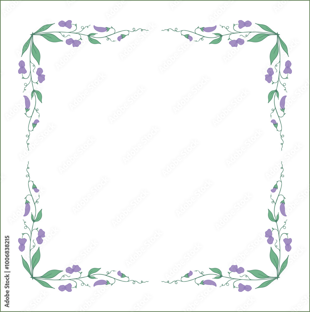 Vegetal floral frame with pea leaves and violet flowers, decorative corners for greeting cards, banners, business cards, invitations, menus. Isolated vector illustration.
Vegetal floral frame with pea leaves and violet flowers, decorative corners for greeting cards, banners, business cards, invitations, menus. Isolated vector illustration.
