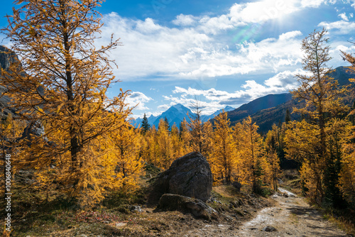 Views of Temple Mountain from Deception Pass, near Skoki Lodge, Alberta, Canada on a Autumn day.