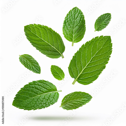 beautiful mint leaves falling on white background: Image for cutting or blending