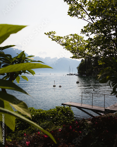 Natur in Montreux photo