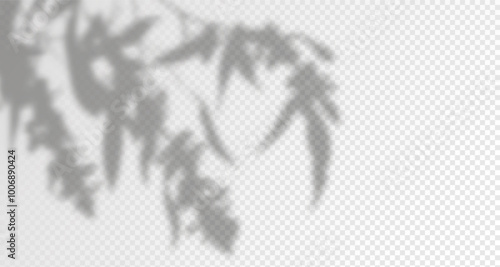 Glare from the sun's rays on the wall. Blurred shadows from leaves and plants in the room. Soft overlay of natural light. Abstract background for product presentation.