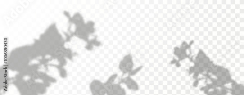 Glare from the sun's rays on the wall. Blurred shadows from leaves and plants in the room. Soft overlay of natural light. Abstract background for product presentation.