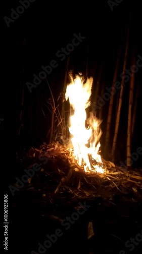 flames created from a campfire with a pitch black background. the flames lick yellow and orange emitting a warm light and illuminating the darkness. photo