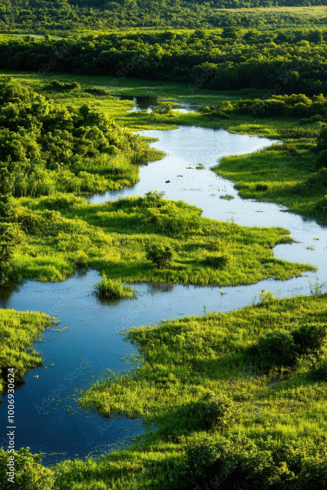 Aerial View of Lush Green Forest and River Landscape Aerial View of Lush Green Forest and River Landscape