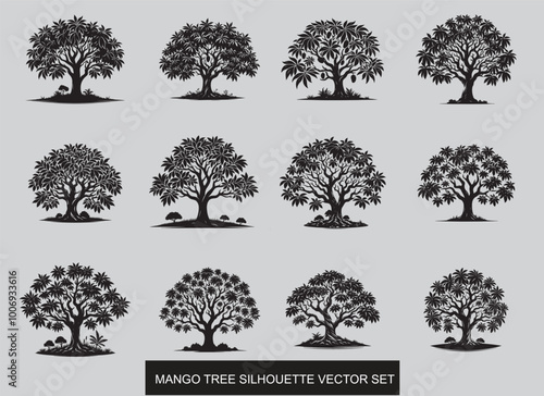  Mango tree vector illustration design.