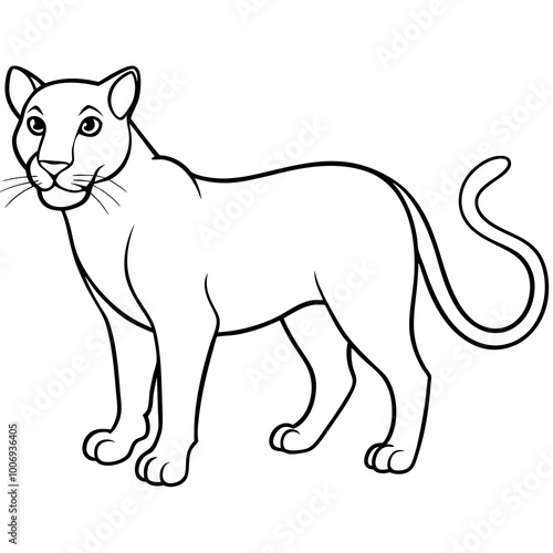 panther white background