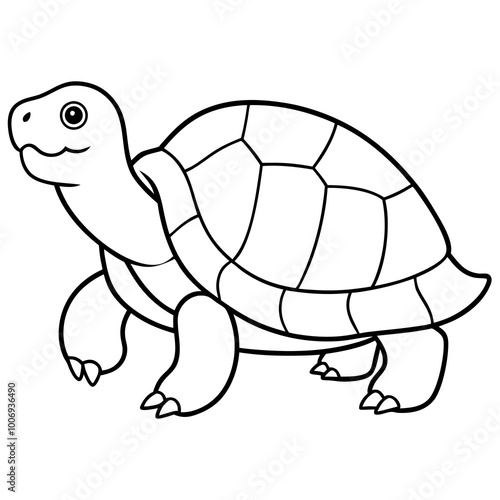 turtle cartoon