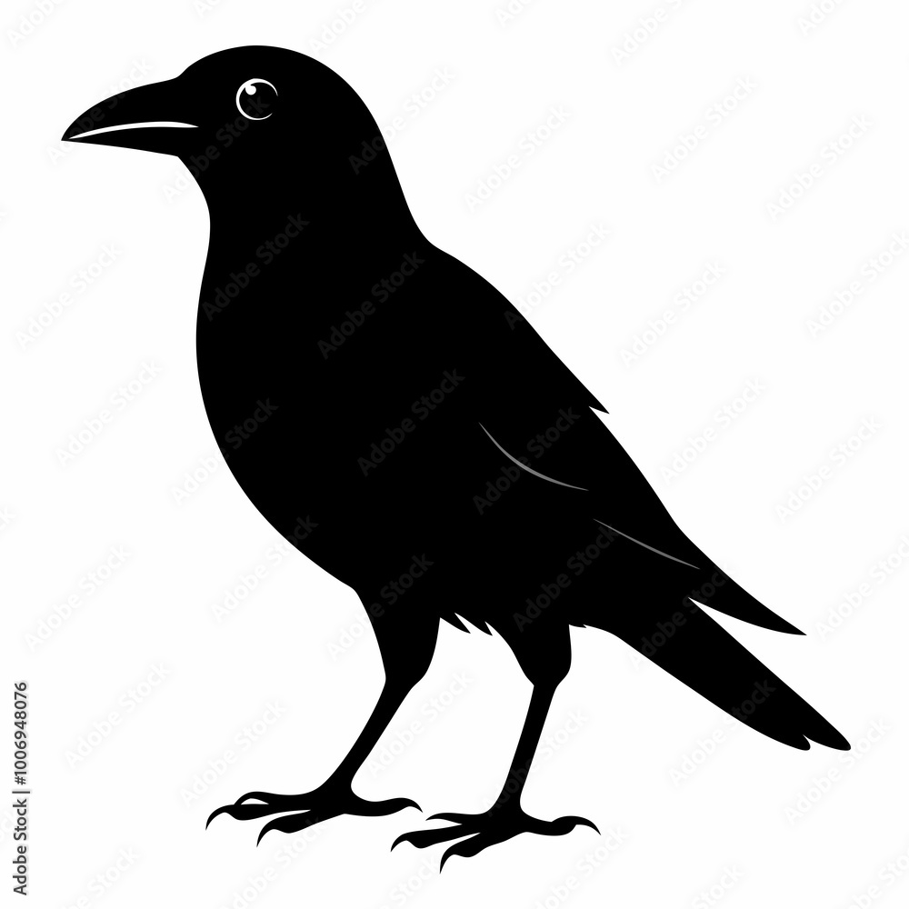 crow on a white crow on a white