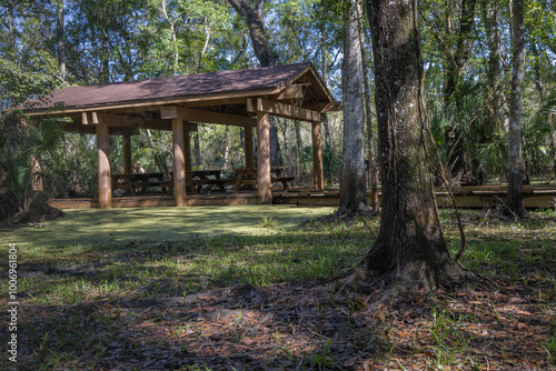 The beautiful vibrant green moss covers the bottom of a tree in Lettuce Lake Park Tampa Florida. The beautiful vibrant green moss covers the ground around a tree in Lettuce Lake Park Tampa Florida. Th