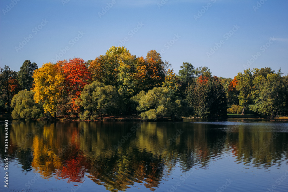 Autumn bushes in vibrant yellow, orange, and red hues line the water edge, their colorful leaves beautifully reflected in the calm surface Autumn bushes in vibrant yellow, orange, and red hues line the water edge, their colorful leaves beautifully reflected in the calm surface