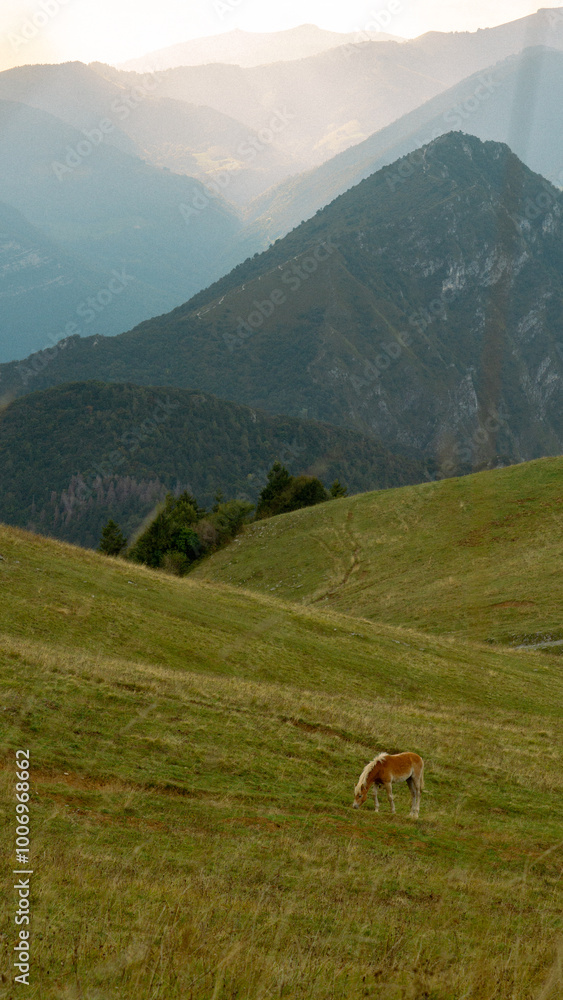 custom made wallpaper toronto digitallandscape in the mountains