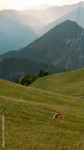 Wallpaper Mural landscape in the mountains Torontodigital.ca