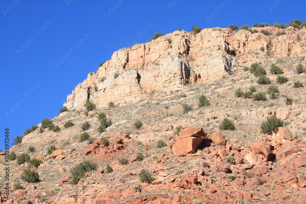 Fototapeta premium Arizona Landscape