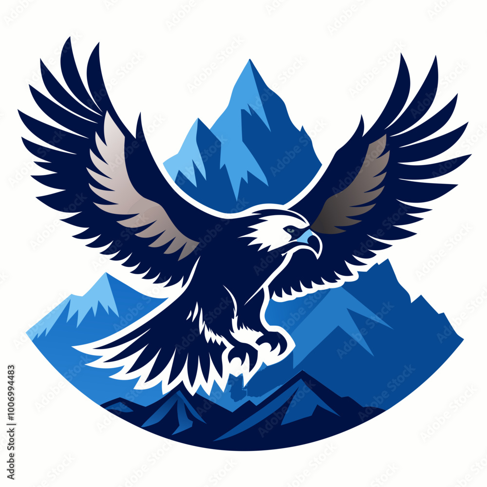 Obraz premium eagle in the sky