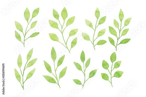 Assortment of watercolor leaves illustration set - green leaf branches collection for wedding, greetings, stationary, wallpapers, fashion, background. olive, green leaves, Eucalyptus etc