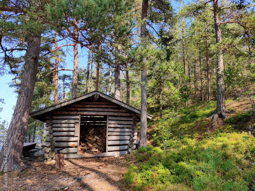 A place for grill in Finland, grillipaikka, axe and sawn firewood in the firewood storage in forest. Preparing firewood for the winter to heat the house A place for grill in Finland, grillipaikka, axe and sawn firewood in the firewood storage in forest. Preparing firewood for the winter to heat the house