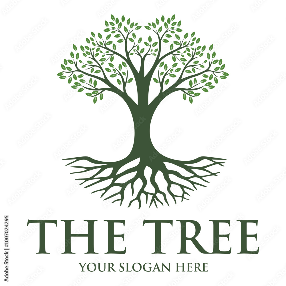 Obraz premium Nature trees logo design vector illustration. Tree vector icon