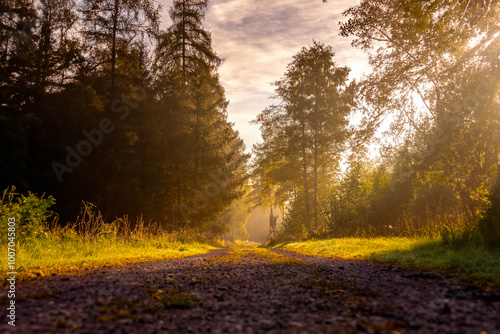 Sunrise in the fall. The sun's rays penetrate the deep fog that still lingers in the forest in the morning. photo