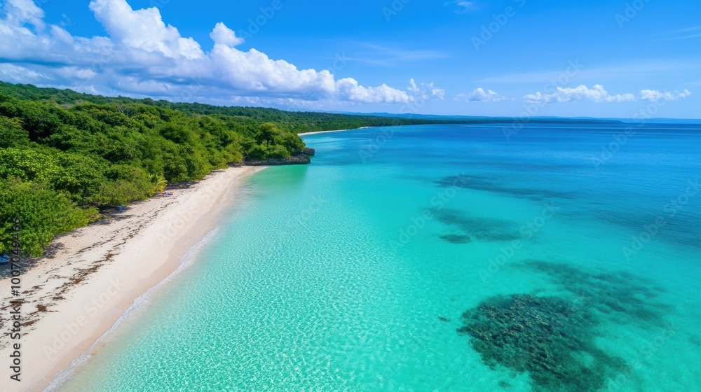 Obraz premium Scenic Tropical Beach with Clear Blue Water and Sky