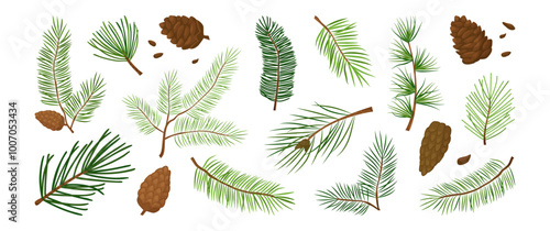 Cartoon fir, Christmas tree, pine cone, evergreen plant, cedar twig, winter decoration, New Year foliage, holiday element. Xmas nature icon isolated on white background. Vector illustration
