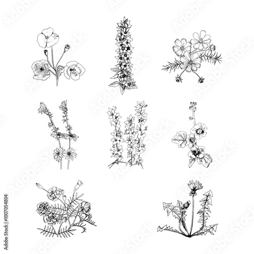 a black and white linear set of flowers