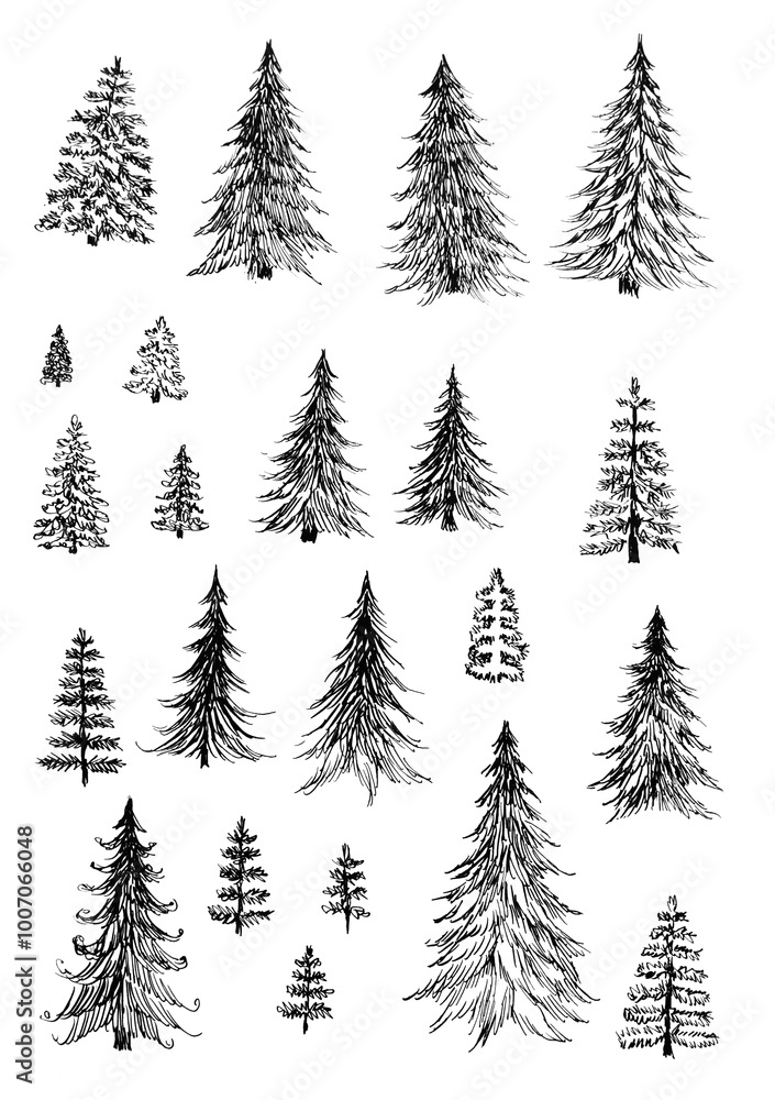 Set of Christmas trees, on white background Set of Christmas trees, on white background