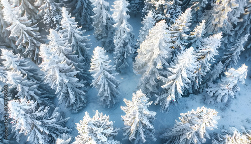 Aerial View of a Snow-Covered Winter Forest with Pine Trees. Concept of Winter Wonderland, Nature s Beauty, Serene Landscapes