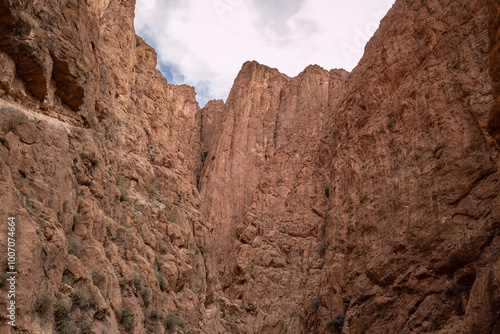 Todgha Gorge: A majestic canyon carved by time in the Moroccan Atlas Mountains.