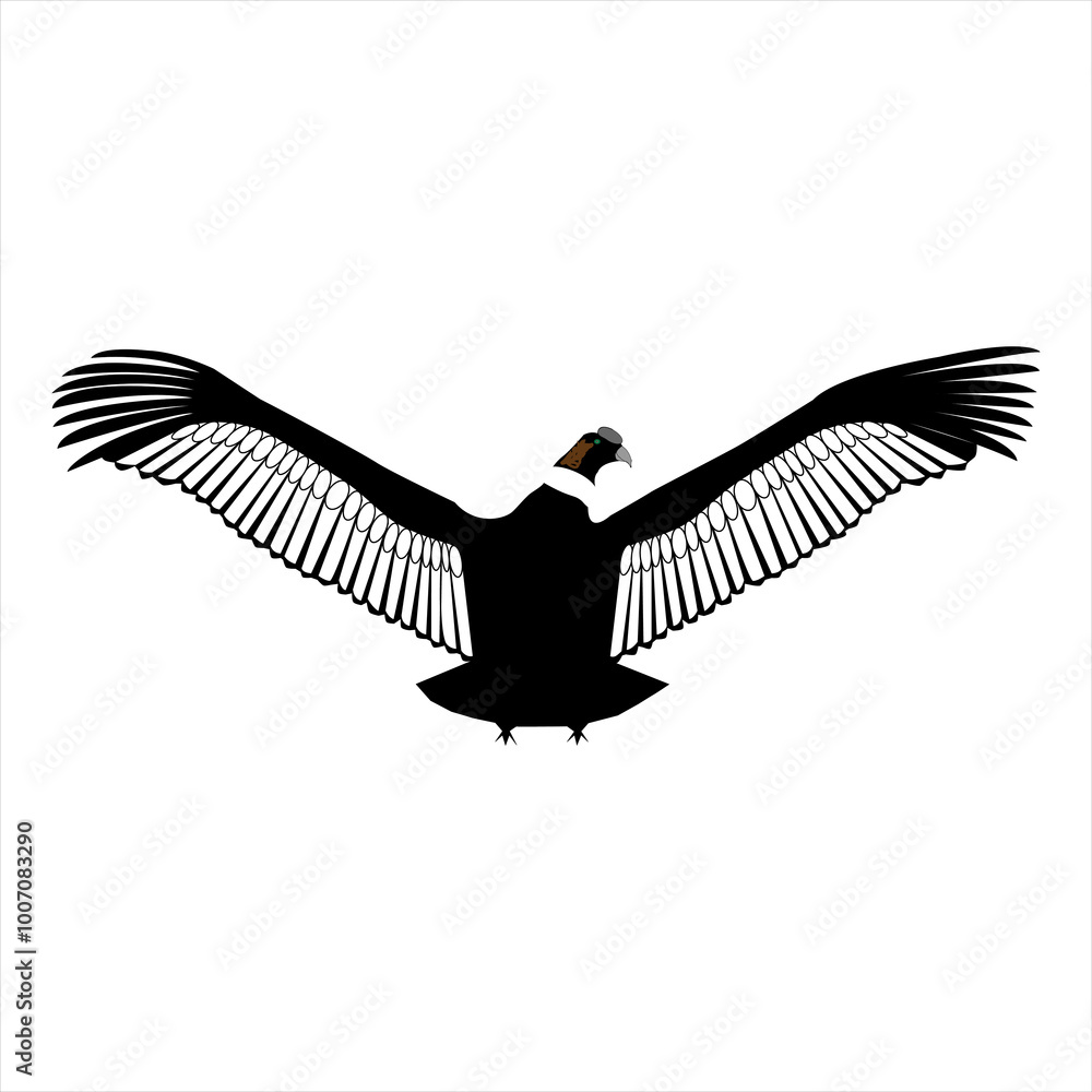 Fototapeta premium Reino animal el condor andino 