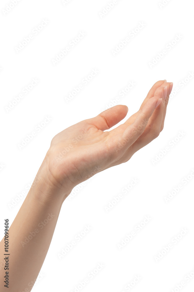 Woman hands with nude manicure isolated on a white background. Woman hands with nude manicure isolated on a white background.