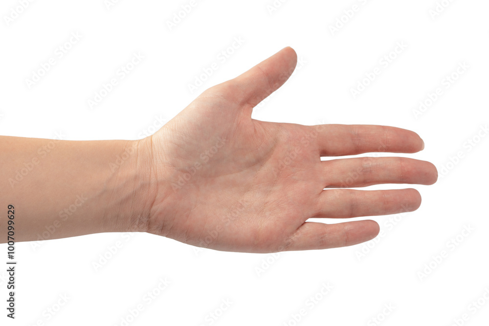 Woman hands with nude manicure isolated on a white background. Woman hands with nude manicure isolated on a white background.