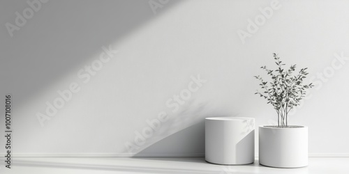 Minimalist interior with potted plant and soft light creating a serene atmosphere.