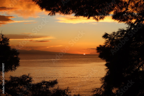 Orange sunset over the sea, silhouette of pine trees against the sky and sea, Baska Voda, Croatia photo