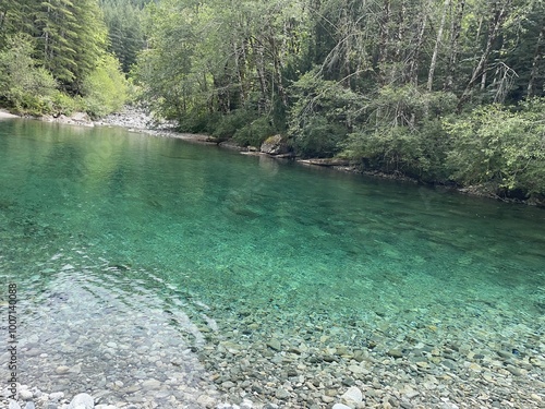 lake in the forest