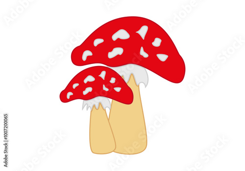 Dos setas rojas y blancas de amanitas venenosa 