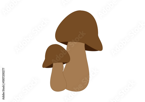 Dos setas marrones de otoño en fondo blanco