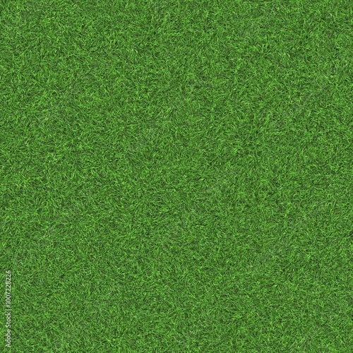 Seamless texture of the grass surface