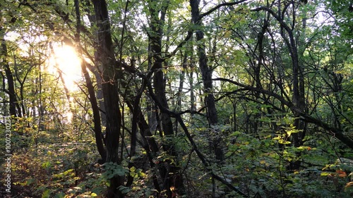 Dirt Walking Trails at Hillsdale Lake Public Park photo