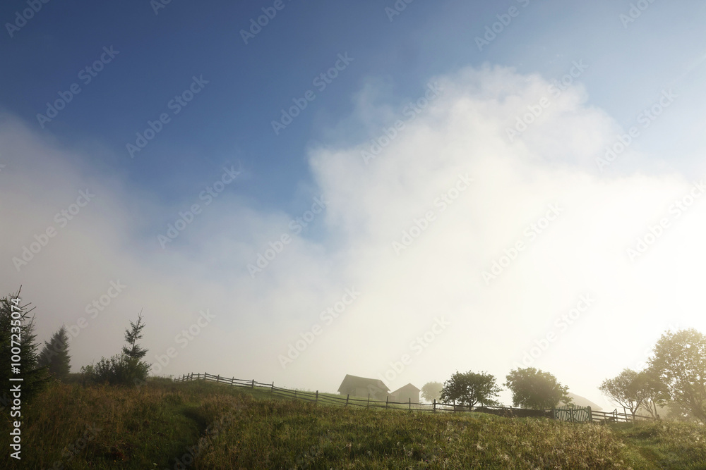 Fototapeta premium Beautiful view of houses and trees covered with fog in morning