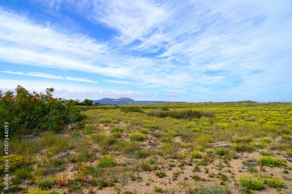 dune landscape near Mas Pinell with a view to the inland and the mountains near Torroella de Montgrí with the Castell del Montgrí, Catalonia, Girona, Spain dune landscape near Mas Pinell with a view to the inland and the mountains near Torroella de Montgrí with the Castell del Montgrí, Catalonia, Girona, Spain