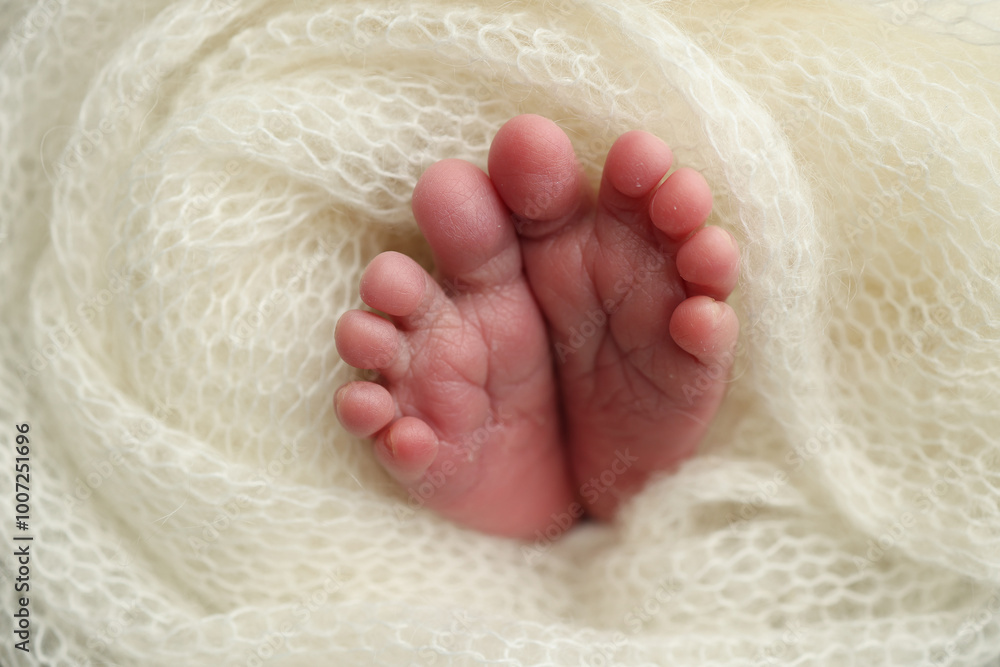 The tiny foot of a newborn. Soft feet of a newborn in a white woolen blanket. Close up of toes, heels and feet of a newborn baby. Studio Macro photography. Woman's happiness. The tiny foot of a newborn. Soft feet of a newborn in a white woolen blanket. Close up of toes, heels and feet of a newborn baby. Studio Macro photography. Woman's happiness.