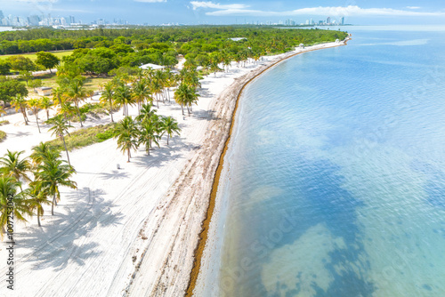 Tropical beach with golden sand, palm trees, and clear blue ocean, seaside vacation destination photo