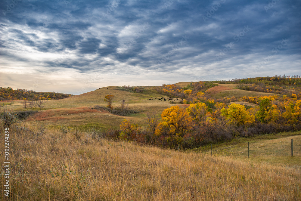 Autumn hiking on the Canadian prairie Autumn hiking on the Canadian prairie