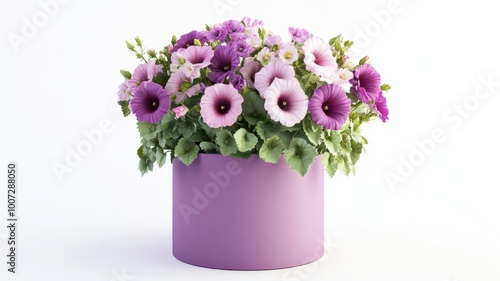 Fresh and colorful hollyhoc...