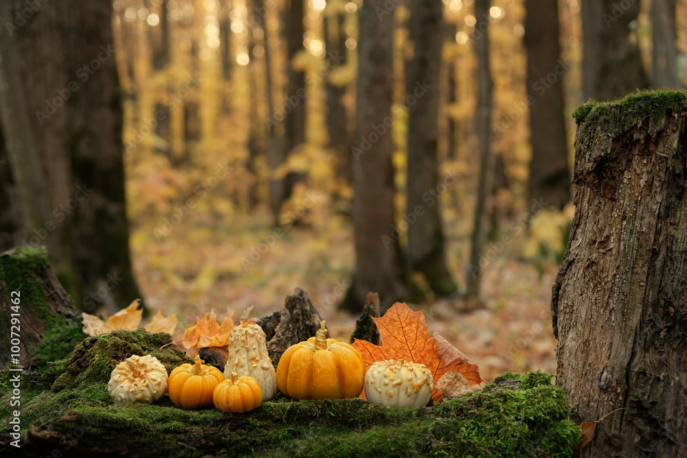 decorative pumpkin shape candles in autumn forest, abstract nature backdrop. Autumn background. Witchcraft. Magic. esoteric spiritual ritual for mabon, halloween, samhain sabbat. fall landscape decorative pumpkin shape candles in autumn forest, abstract nature backdrop. Autumn background. Witchcraft. Magic. esoteric spiritual ritual for mabon, halloween, samhain sabbat. fall landscape
