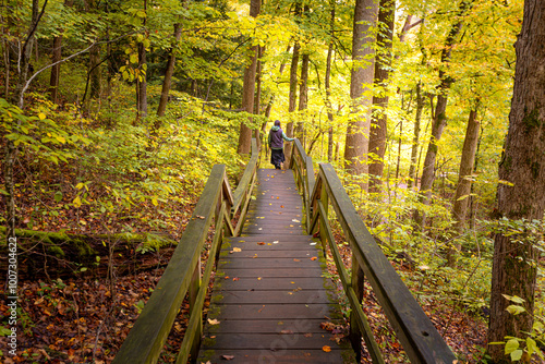 Woman hiking down steps of wooden footbridge through forest with autumn leaves