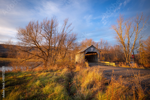 Path leading to covered footbridge during autumn panorama