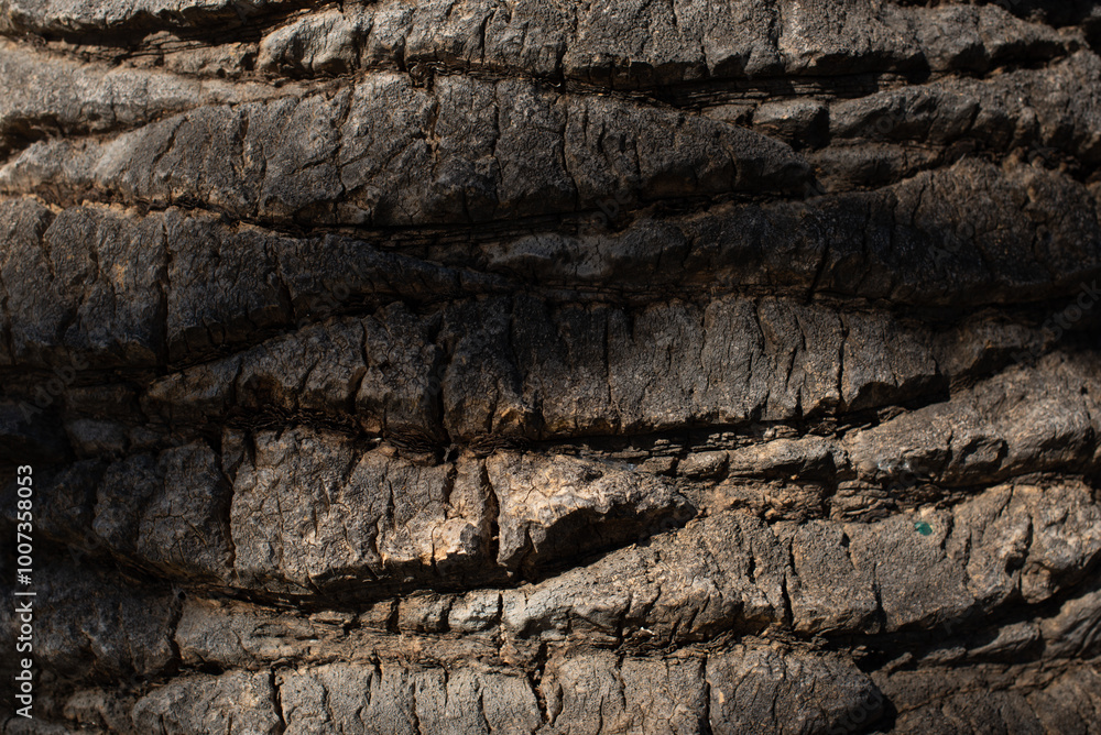 old wood texture old wood texture