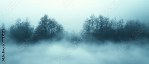 Misty trees in a serene morning landscape